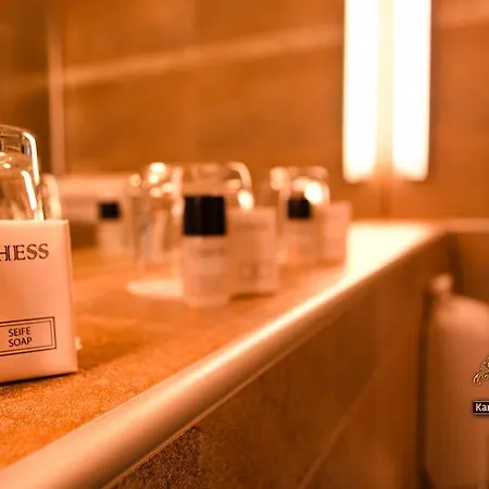Apartahotel Karli Suites Leipzig 3*